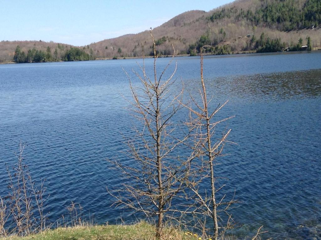 איסטמן Cottages Du Lac Orford, Cottage A, Cote Raquettes Cottage B, Cote Skis מראה חיצוני תמונה